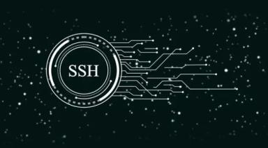 آموزش تنظیم گزینه‌های سفارشی اتصال در SSH Client