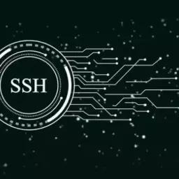 آموزش کامل راه‌اندازی SSH Key در اوبونتو