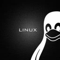 تسلط بر grep و Regular Expression برای جستجوی حرفه‌ای متن